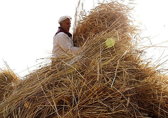 Las mejores fotos de la VI Malla popular en Corullón (León)