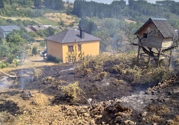 Imagen de uno de los fuegos en El Bierzo.