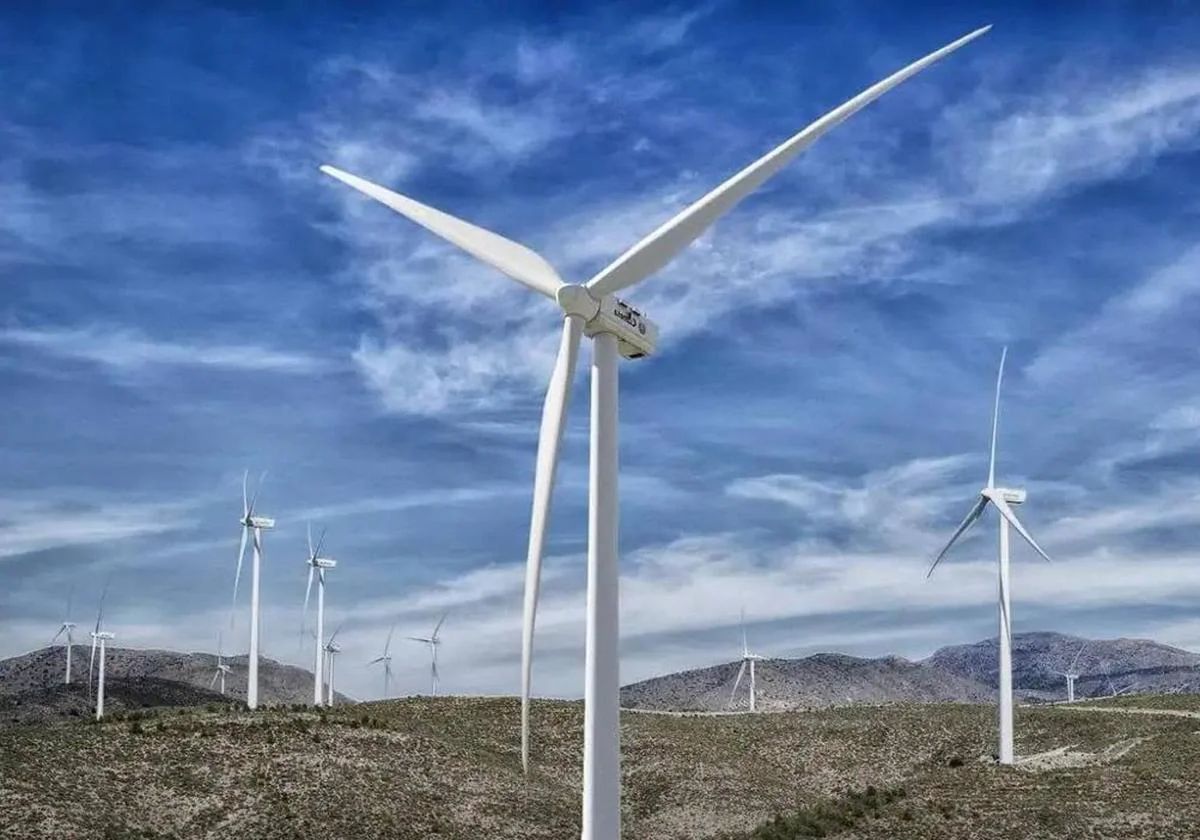 Generadores eólicos.