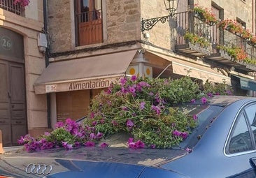 Imagen el vehículo vandalizado con las petunias arrancadas de las jardineras de la plaza Mayor de Villafranca del Bierzo.