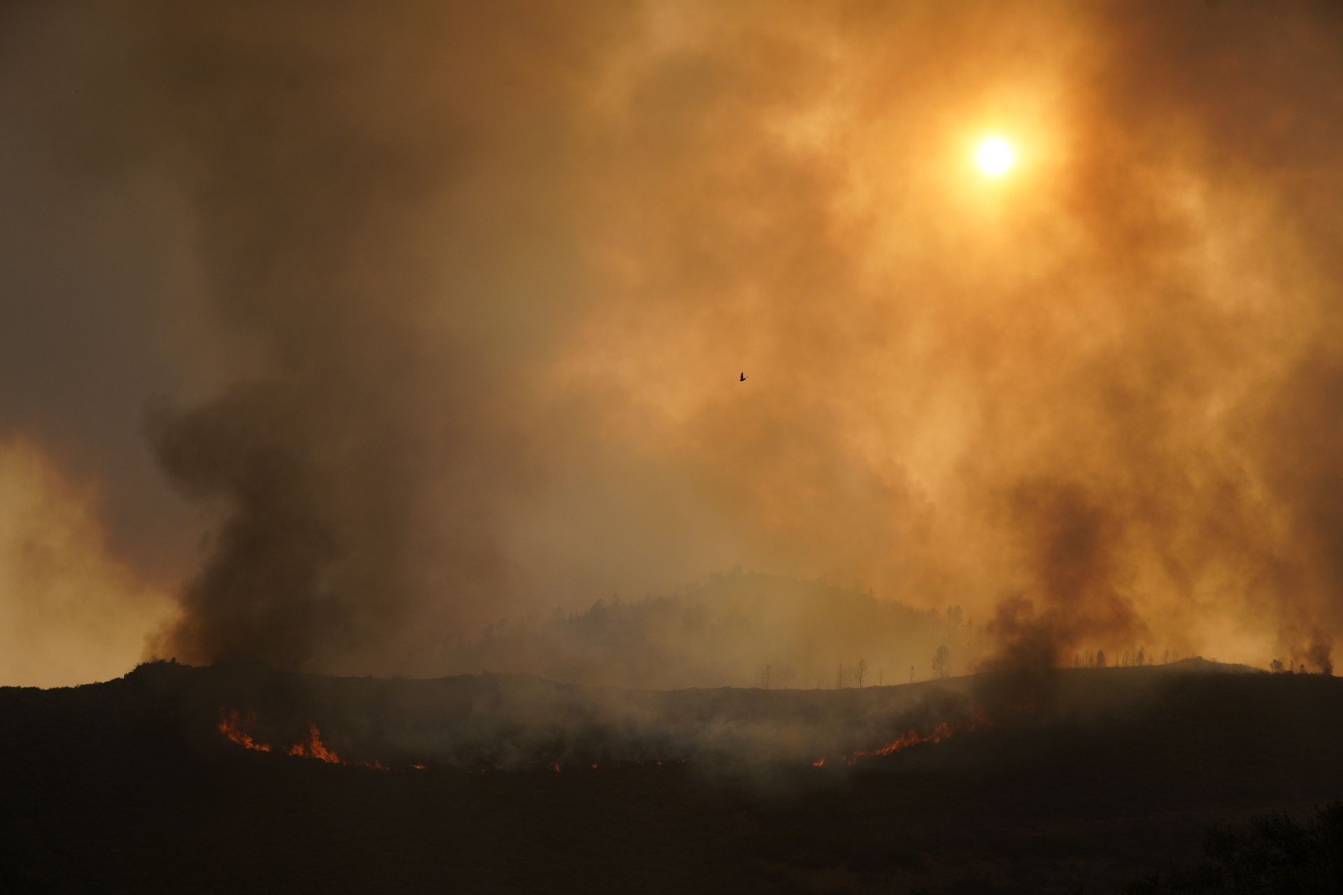 El incendio de Paradiñas declarado de nivel 2