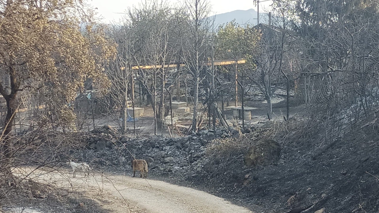 Las imágenes del incendio en Las Médulas
