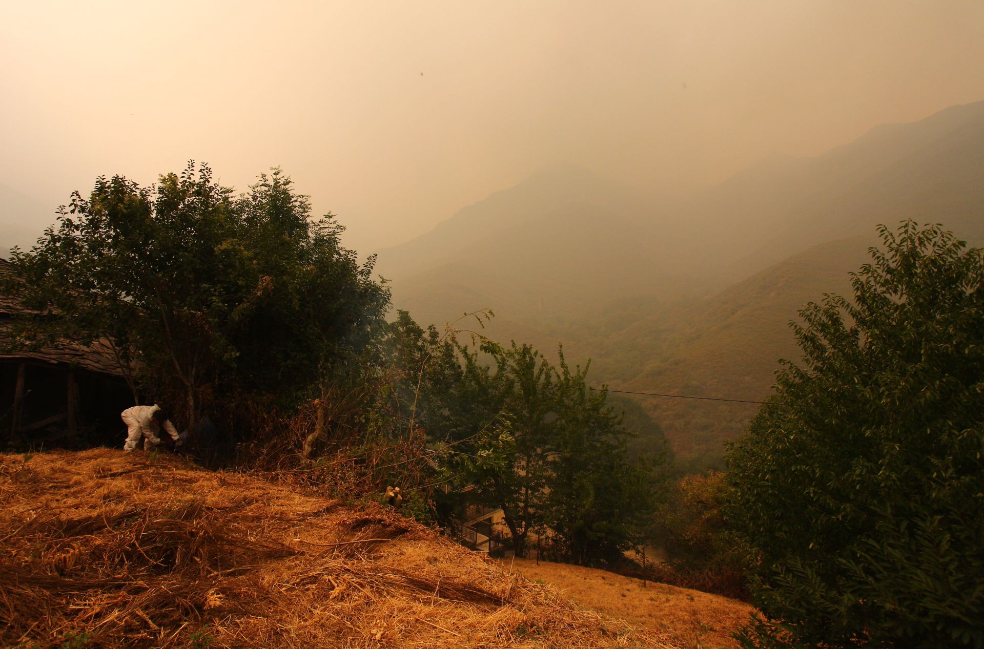 Las imágenes del desalojo de los vecinos de Lusio, por el incendio