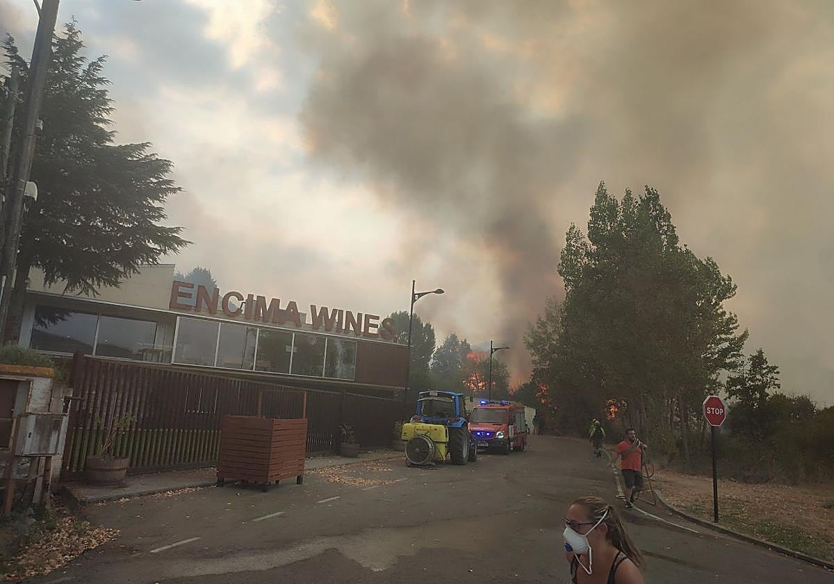 Imagen principal - Imágenes de la bodega de Molinaseca amenazada por el fuego, de los árboles calcinados junto a las viñas Encima Wines y de la joven bodeguera Encina Otero (D).
