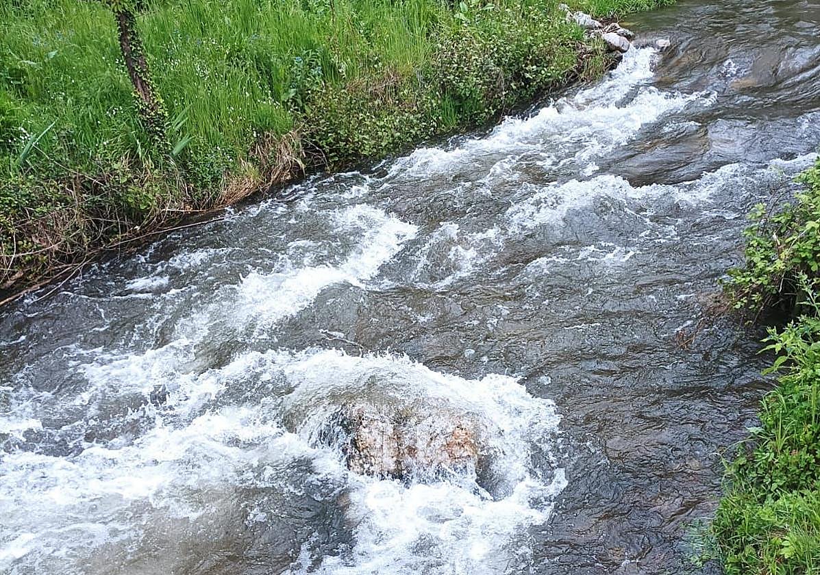 Imagen del río Oza.