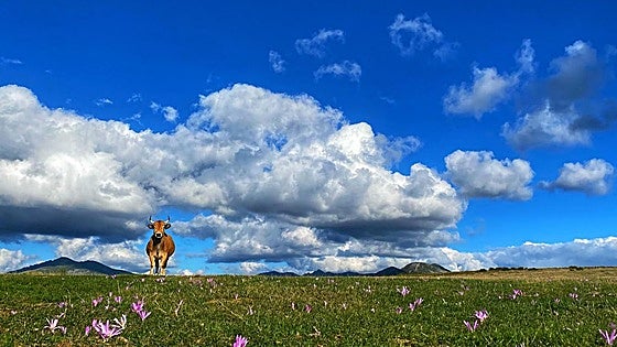 Nace el Trail Valles del Sil, una carrera con alma en el corazón del Bierzo