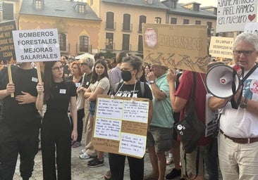 Stop Incendios exige «soluciones para prevenir nuevos fuegos y no intensificar el negocio privado»