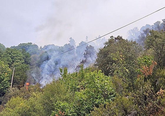 Imagen del incendio entre las localidades bercianas de Cancela y Aguiar, en el municipio de Sobrado.