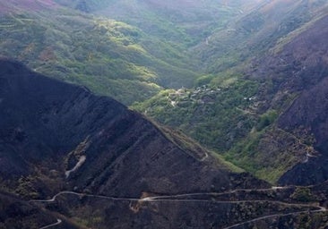 Ponferrada celebra la aprobación del Plan de Montes con una superficie de 11.680 hectáreas