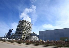 Planta de generación eléctrica con biomasa de Forestalia en Cubillos del Sil.