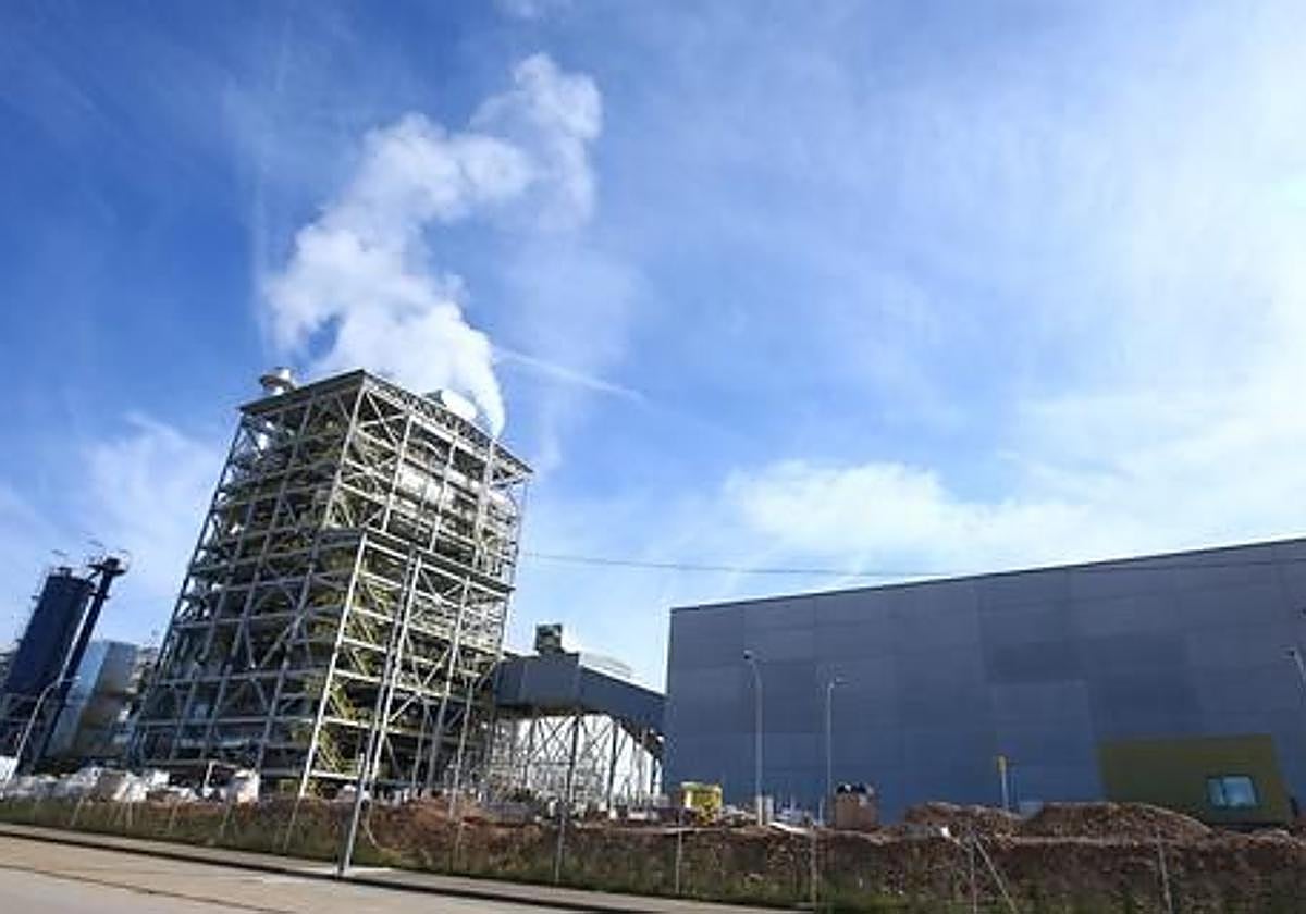 Planta de generación eléctrica con biomasa de Forestalia en Cubillos del Sil.