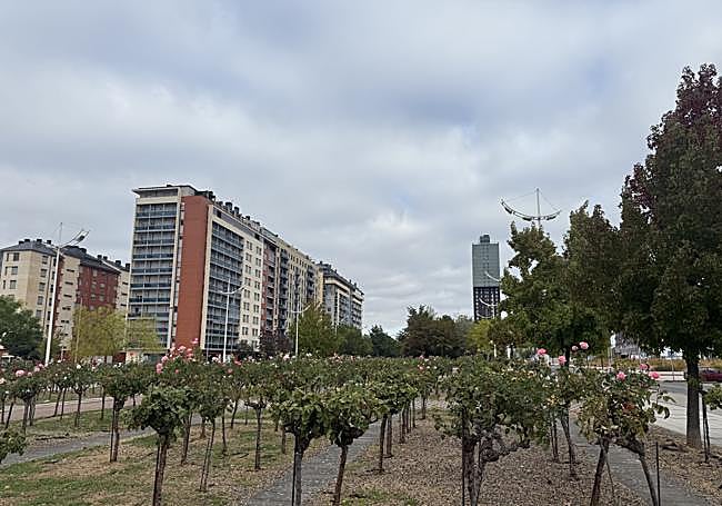 Imagen del barrio de La Rosaleda en Ponferrada.