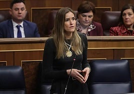 La vicepresidenta tercera, Sara Aagesen, en el Congreso de los Diputados.