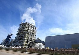 Actividad de la empresa Forestalia en el polígono industrial de Cubillos del Sil.