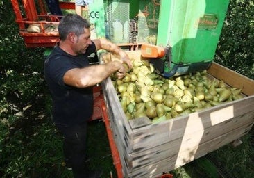 La Junta resucita el Parque Agrolimentario del Bierzo con dos millones en los presupuestos