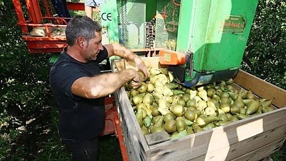 La Junta resucita el Parque Agrolimentario del Bierzo con dos millones en los presupuestos