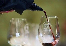 Vino de la DO Bierzo.