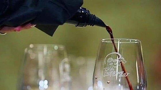 La DO Bierzo participa en el Festival Internacional de Cine del Vino