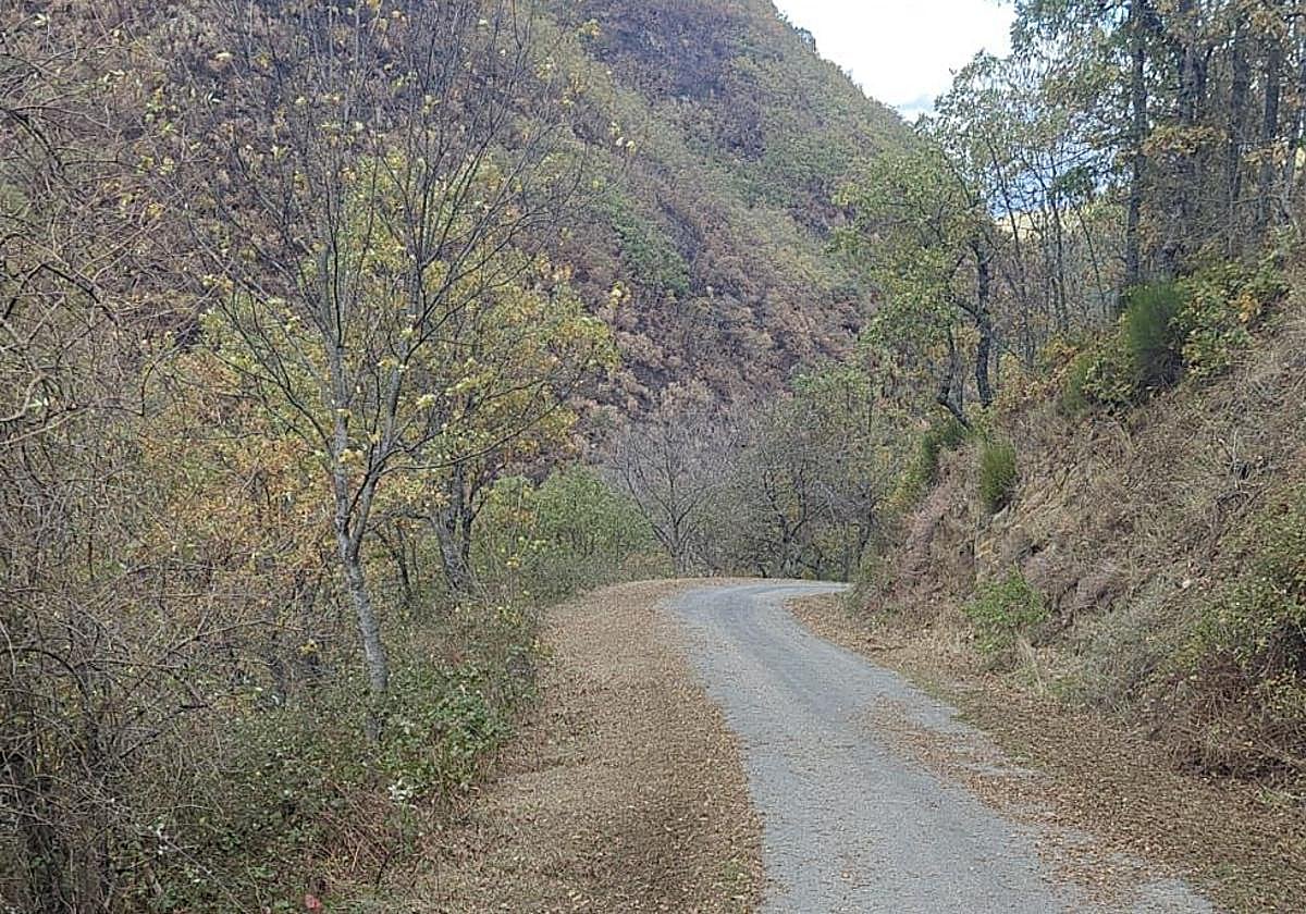 Imágenes de la carretera de acceso a Carracedo de Compludo.