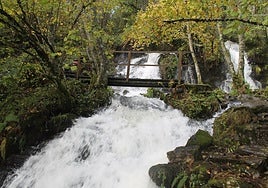Imagen de una de las cascadas que se pueden encontrar en el recorrido por espectacular hayedo de la provincia de León.