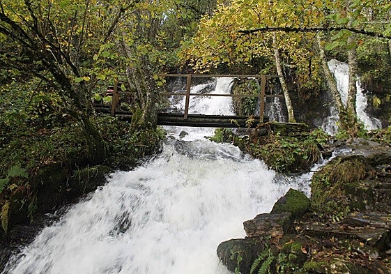 Imagen de una de las cascadas que se pueden encontrar en el recorrido por espectacular hayedo de la provincia de León.