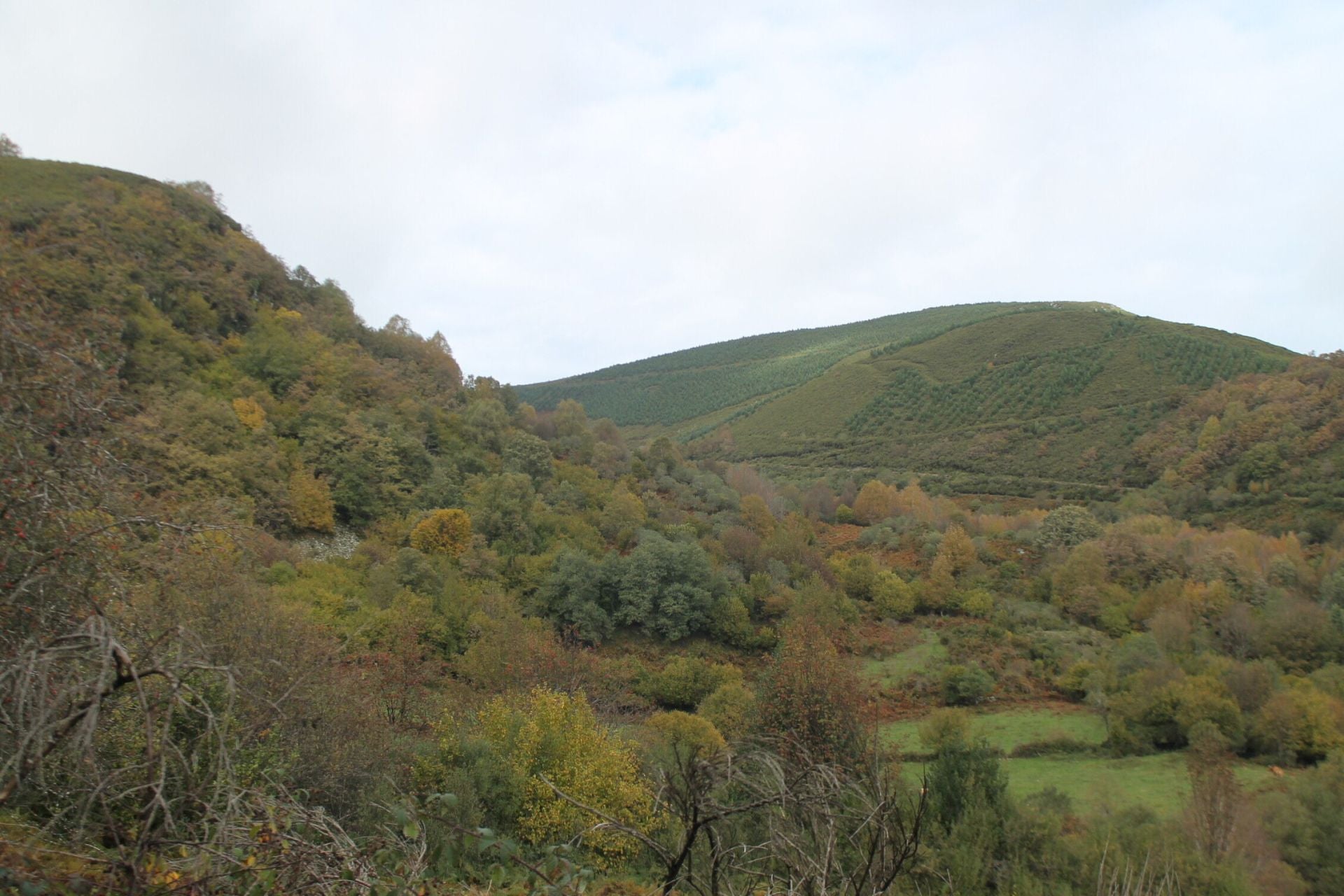 Las imágenes del hayedo de Busmayor