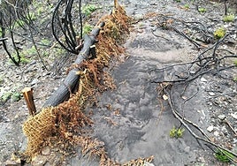 Daños provocados por los incendios en los ríos del Bierzo.