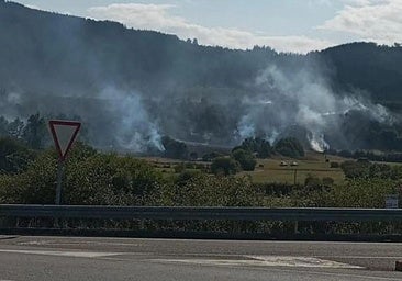 Piden cuatro años y medio de prisión para el acusado de provocar un incendio en Berlanga