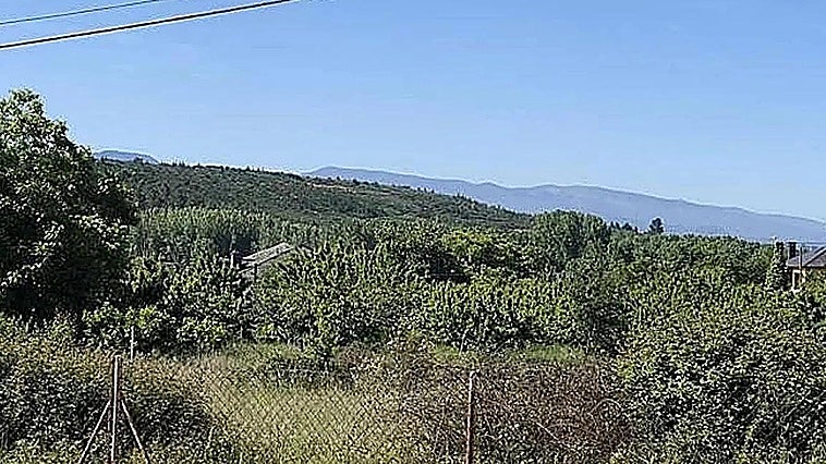 En libertad provisional la sobrina y su pareja investigadas por el presunto homicidio de un vecino de Arganza