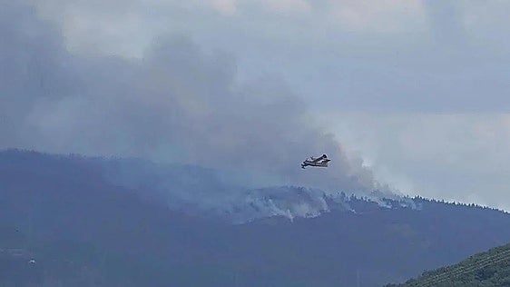 Rodanillo se suma al listado de afectados por grandes incendios este verano para actuaciones de recuperación