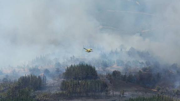 Incendio en el valle de Finolledo, en Vega de Espinareda.