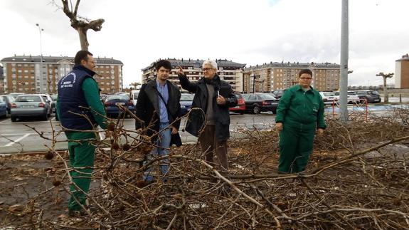 El concejal de Urbanismo, Tulio García, y el gerente de Asprona Bierzo, Pablo Salgado, presentaron los trabajos de poda y mantenimiento que se realizan en el antiguo aparcamiento de Carrefour.