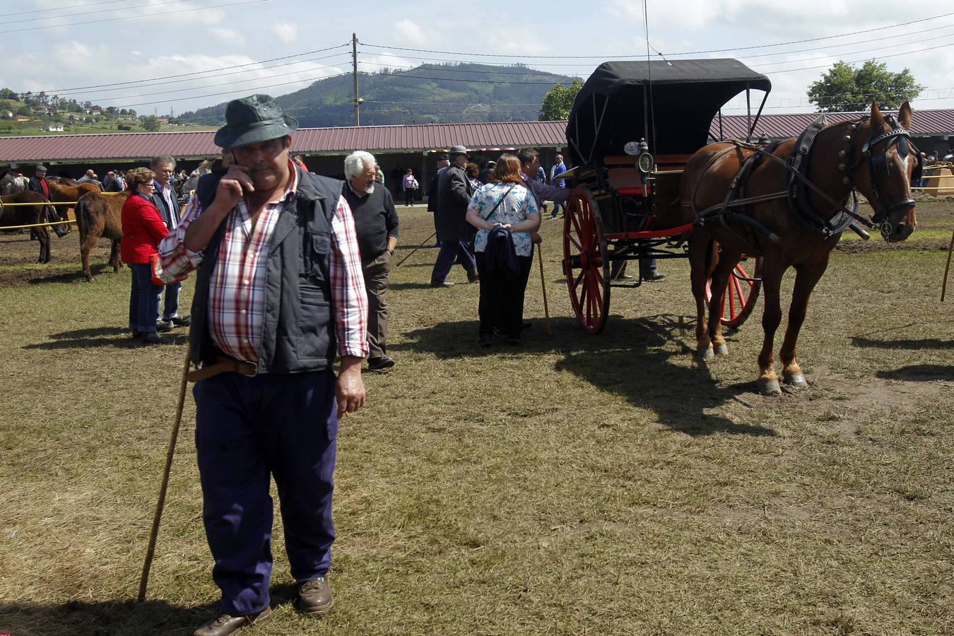 Feria de la Ascensión en Llanera