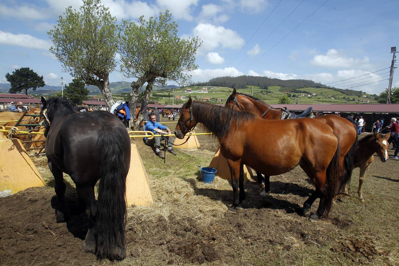 Feria de la Ascensión en Llanera