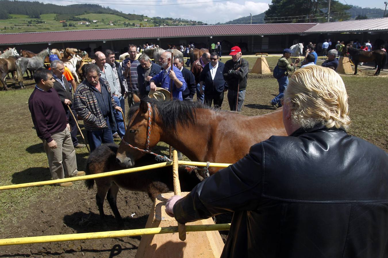 Feria de la Ascensión en Llanera