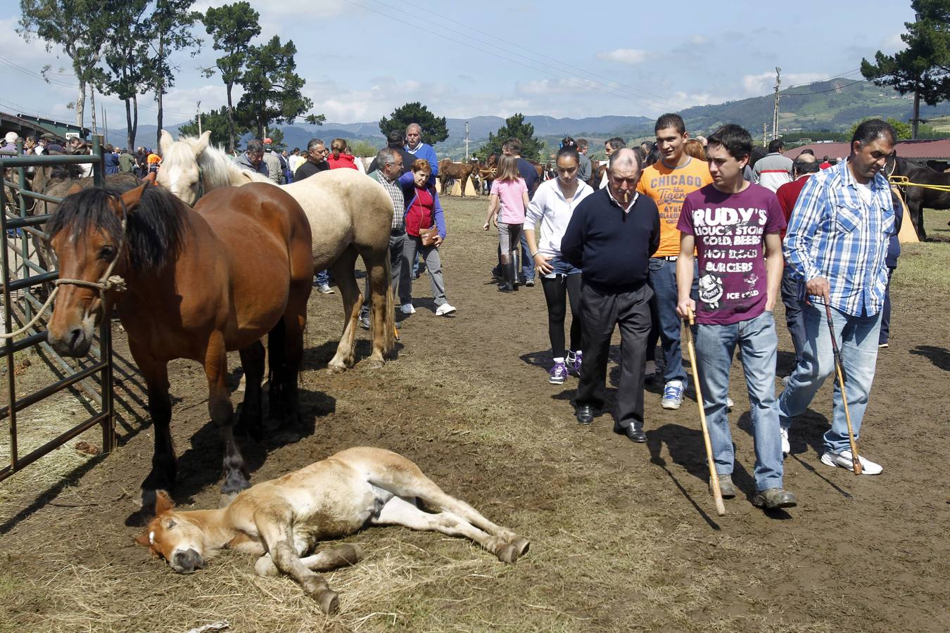 Feria de la Ascensión en Llanera