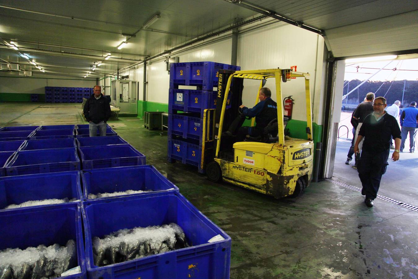 La rula de Avilés subasta 7.400 kilos de bonito