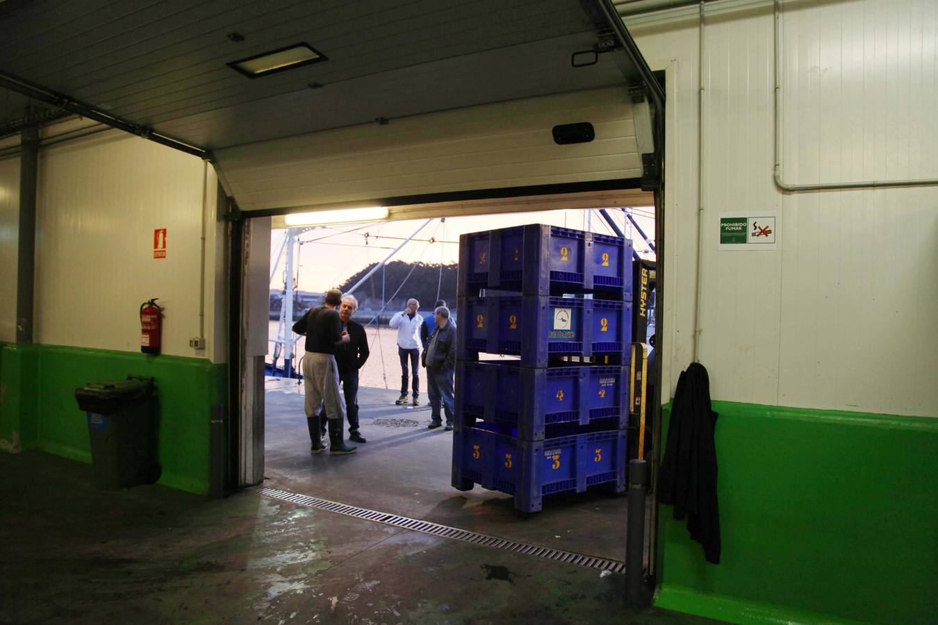 La rula de Avilés subasta 7.400 kilos de bonito