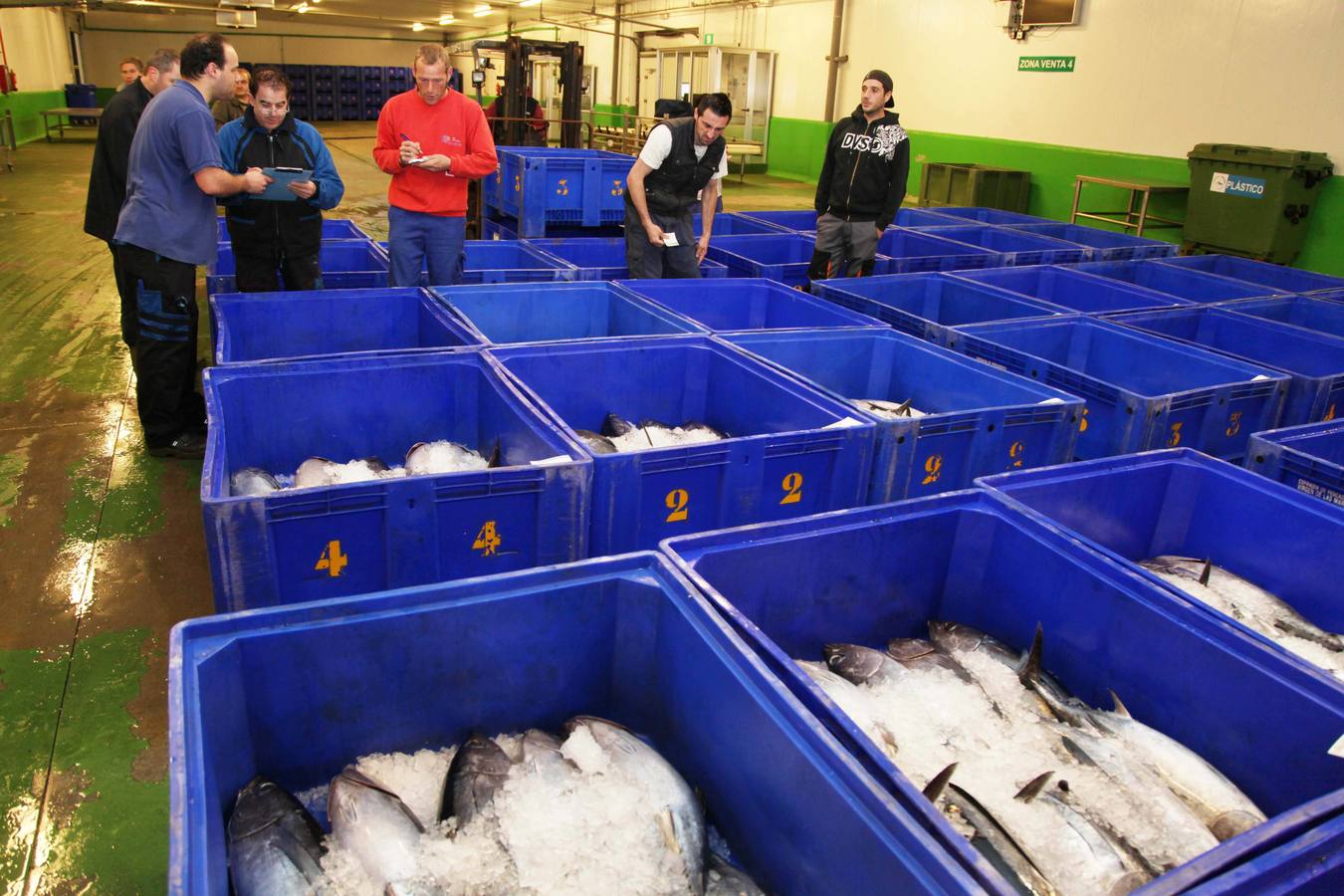 La rula de Avilés subasta 7.400 kilos de bonito