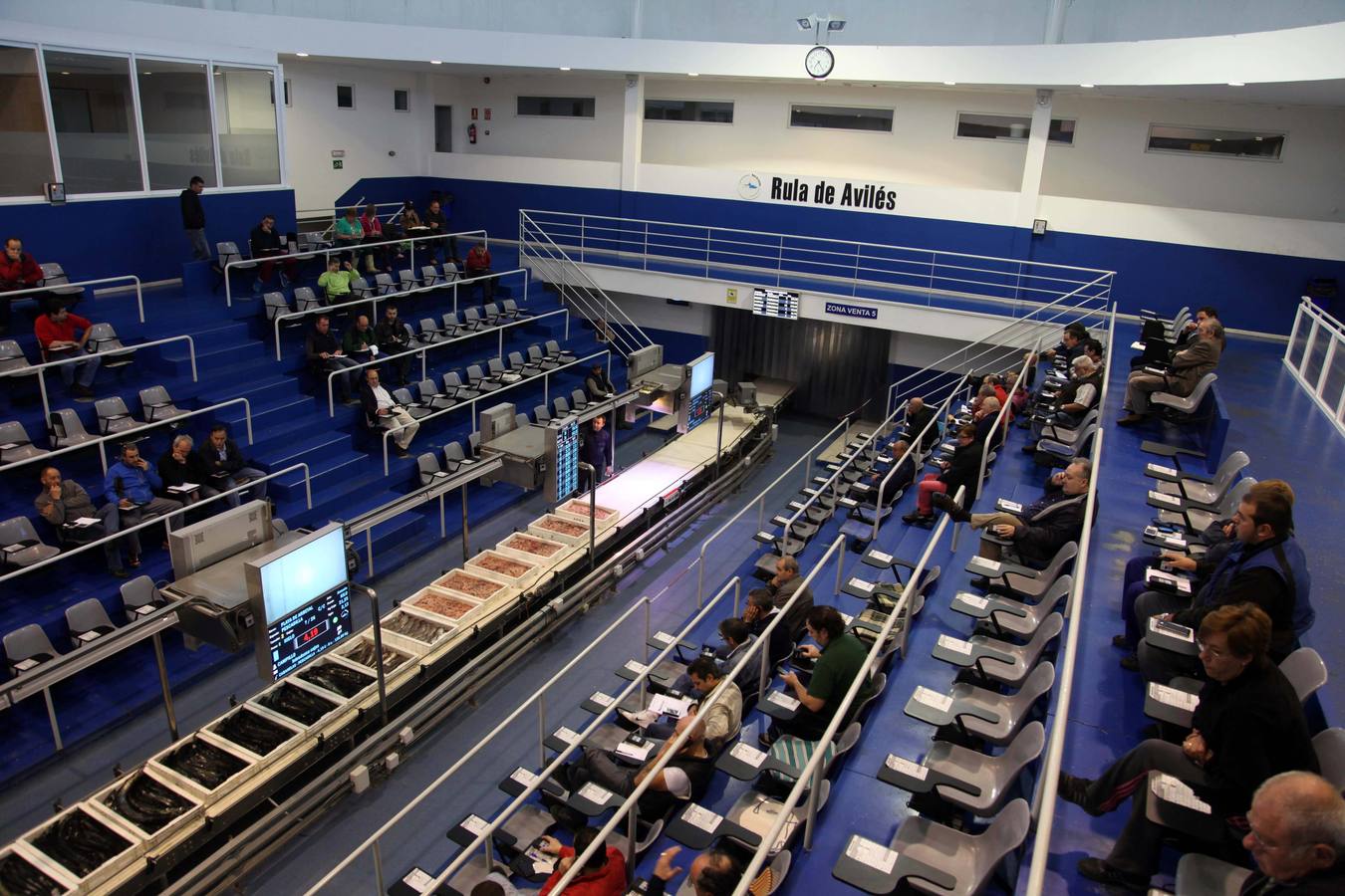 La rula de Avilés subasta 7.400 kilos de bonito