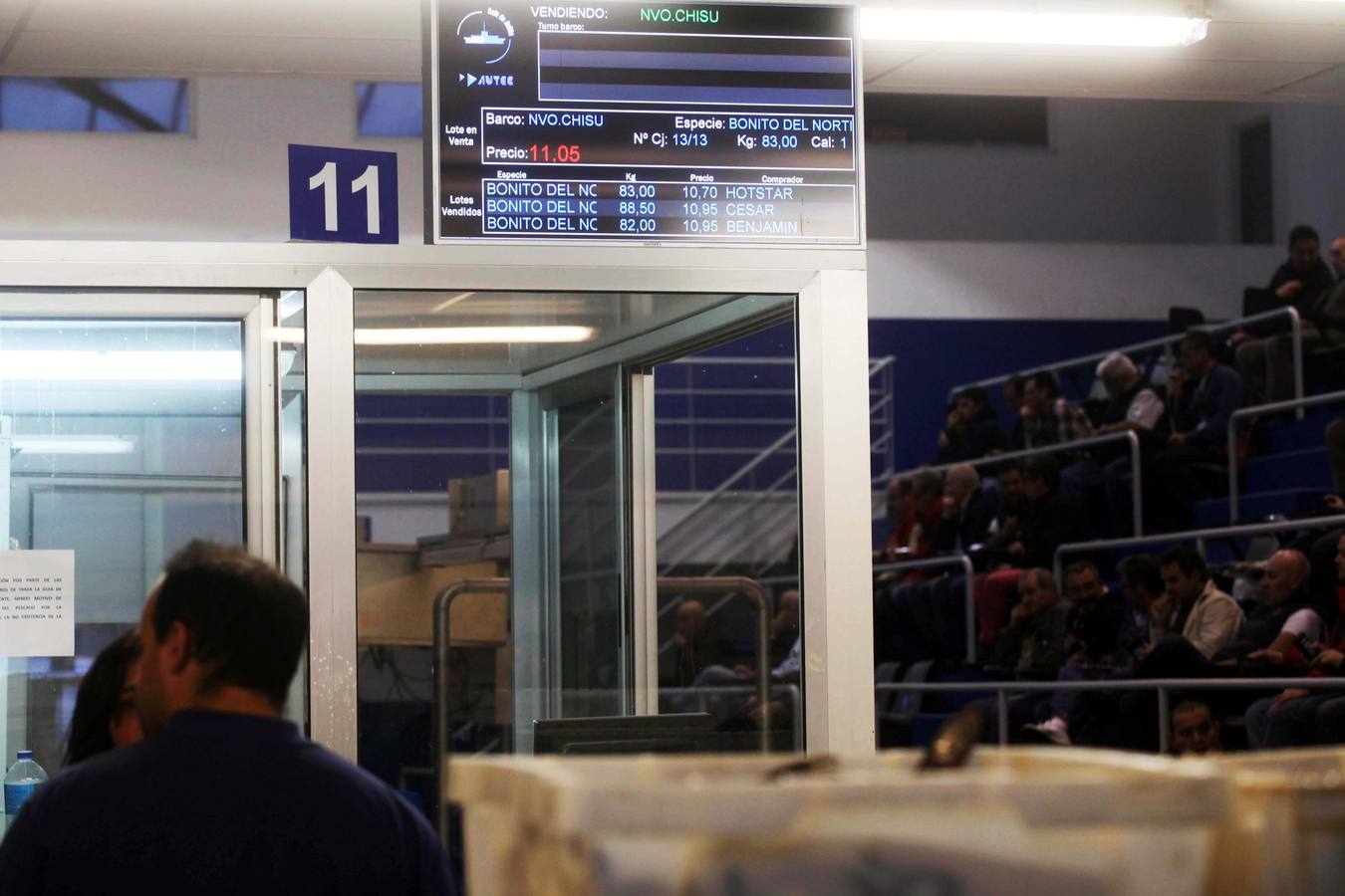 La rula de Avilés subasta 7.400 kilos de bonito