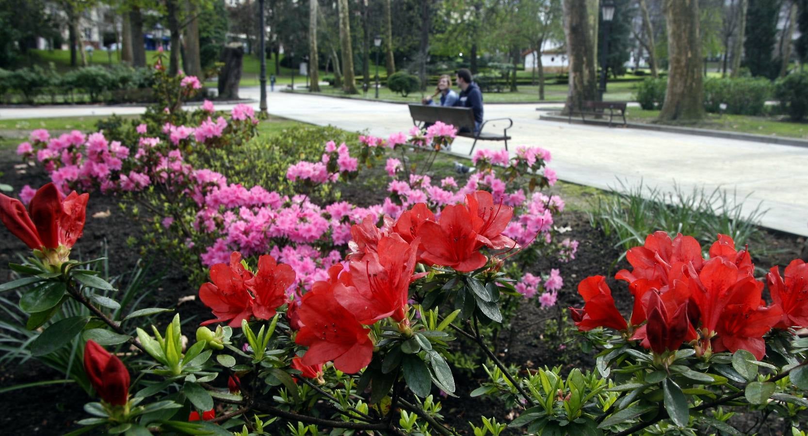 El Campo San Francisco