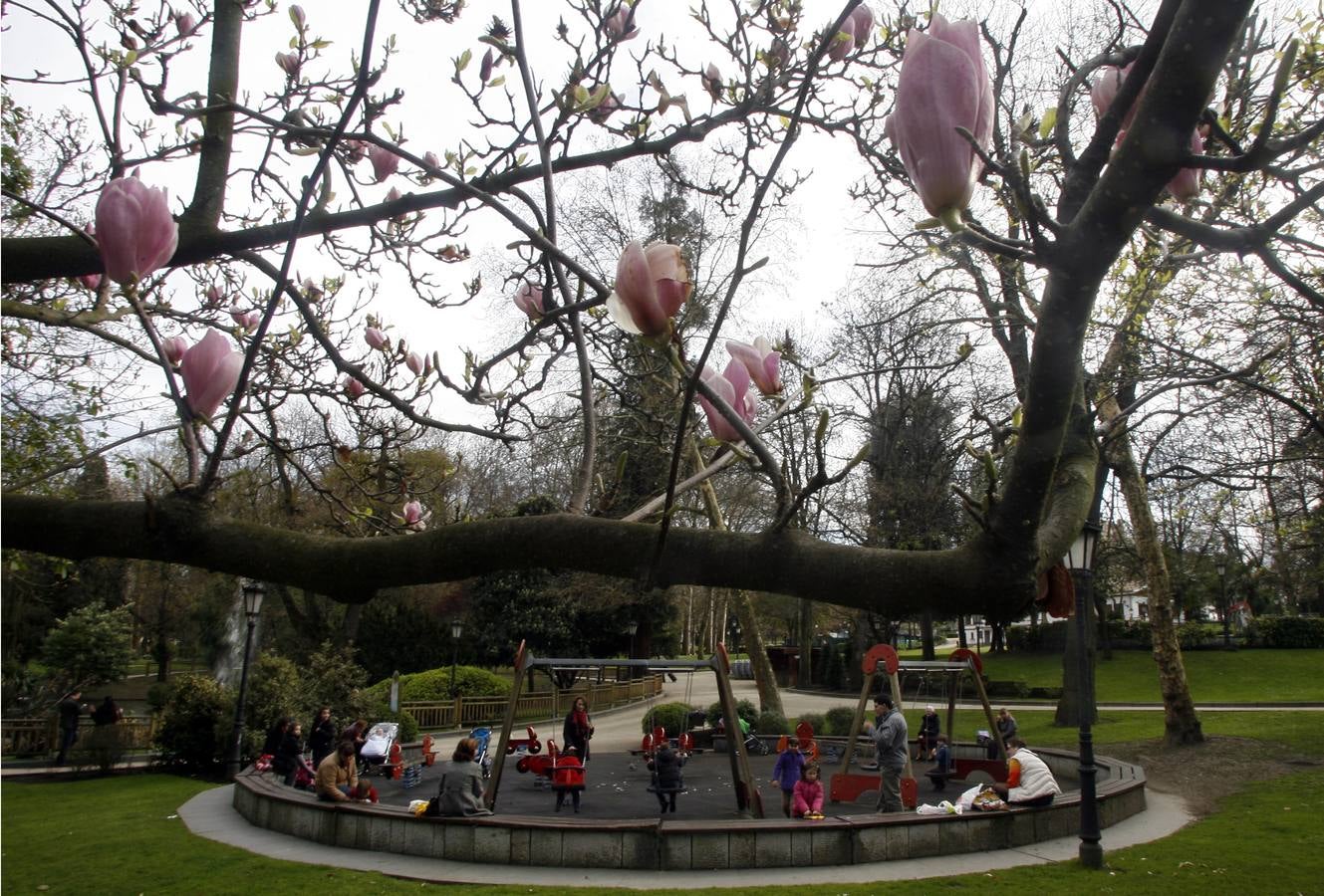 El Campo San Francisco