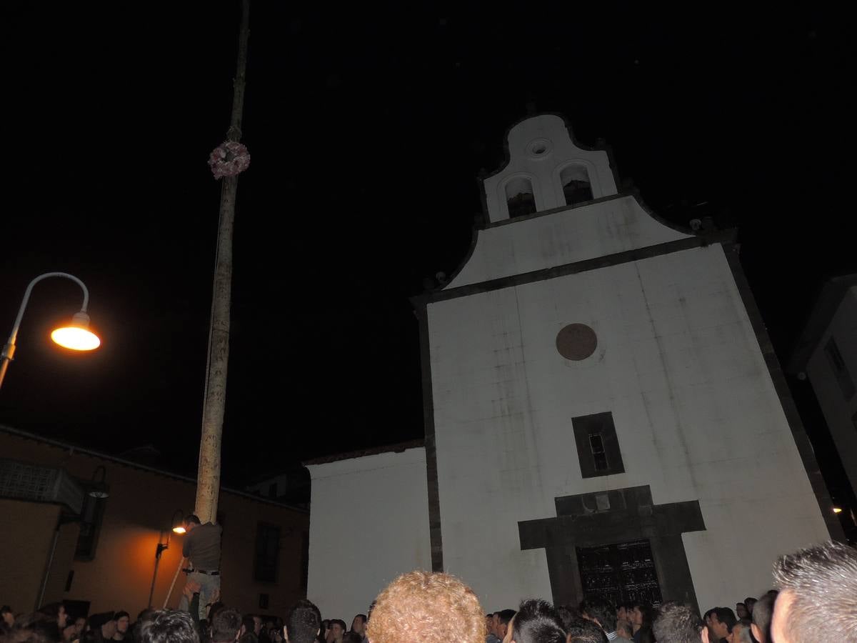 Cangas del Narcea planta el &#039;arbolón&#039;