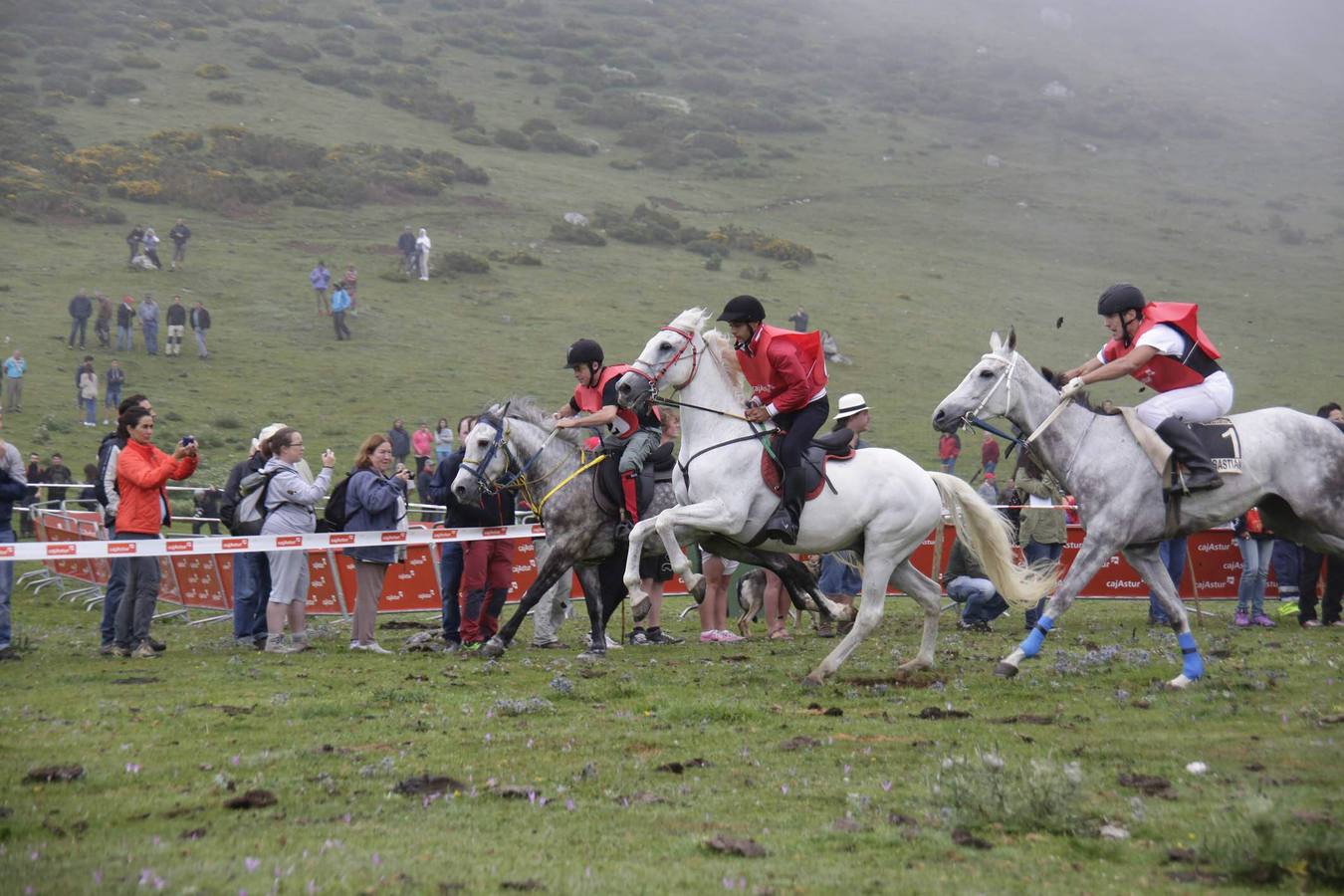 Fiesta del pastor en Los Lagos