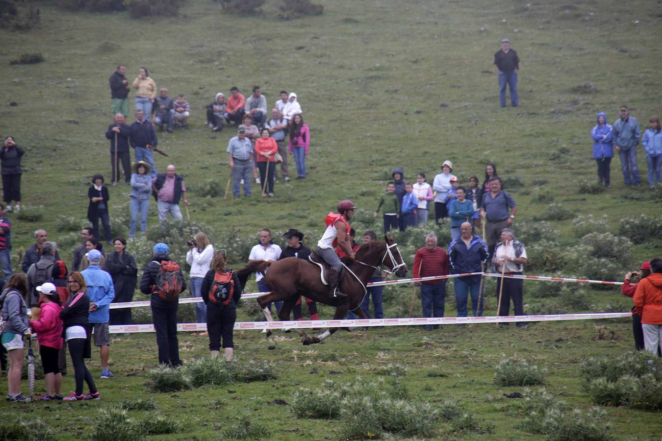 Fiesta del pastor en Los Lagos