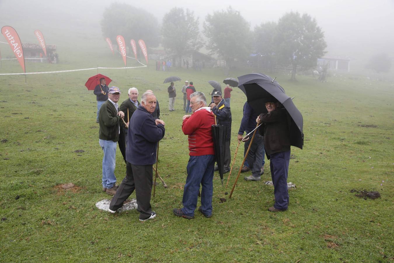 Fiesta del pastor en Los Lagos