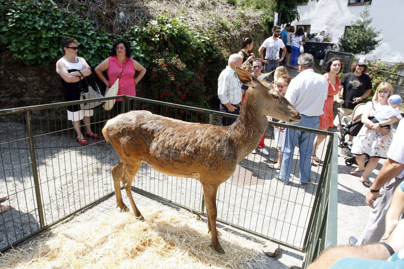 El mercado tradicional de Murias triunfa por su variedad