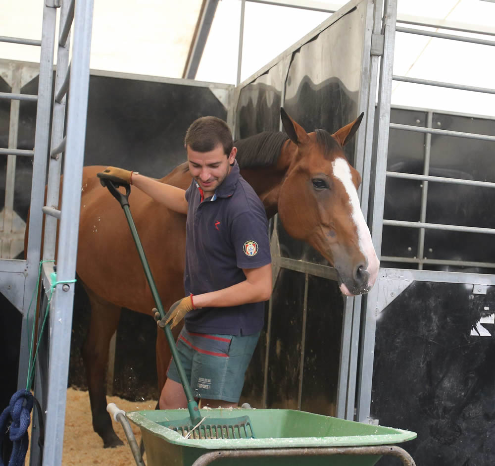 Gijón se prepara para el CSIO