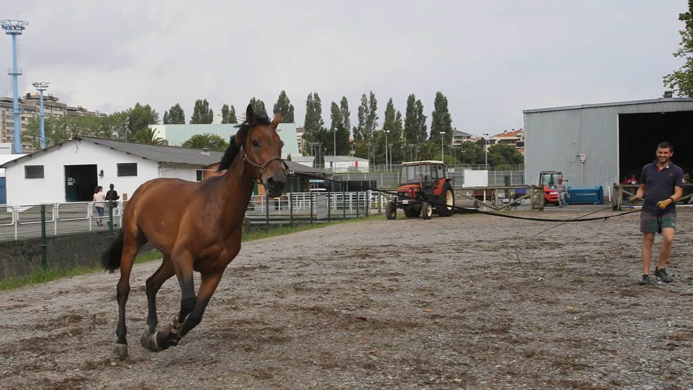 Gijón se prepara para el CSIO